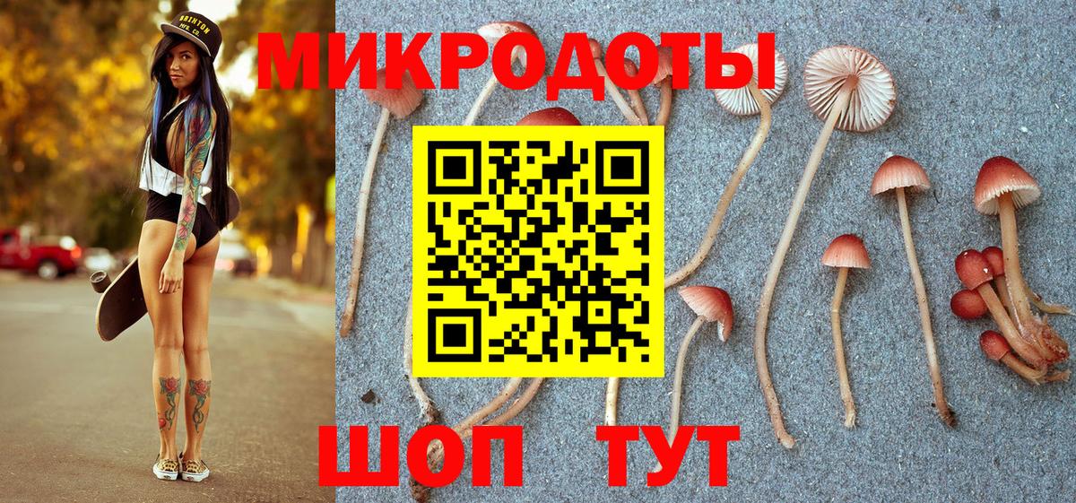 Псилоцибиновые грибы мицелий Узловая